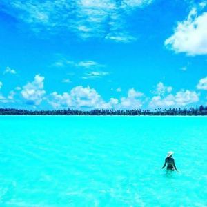 Meet your Posher, Iris